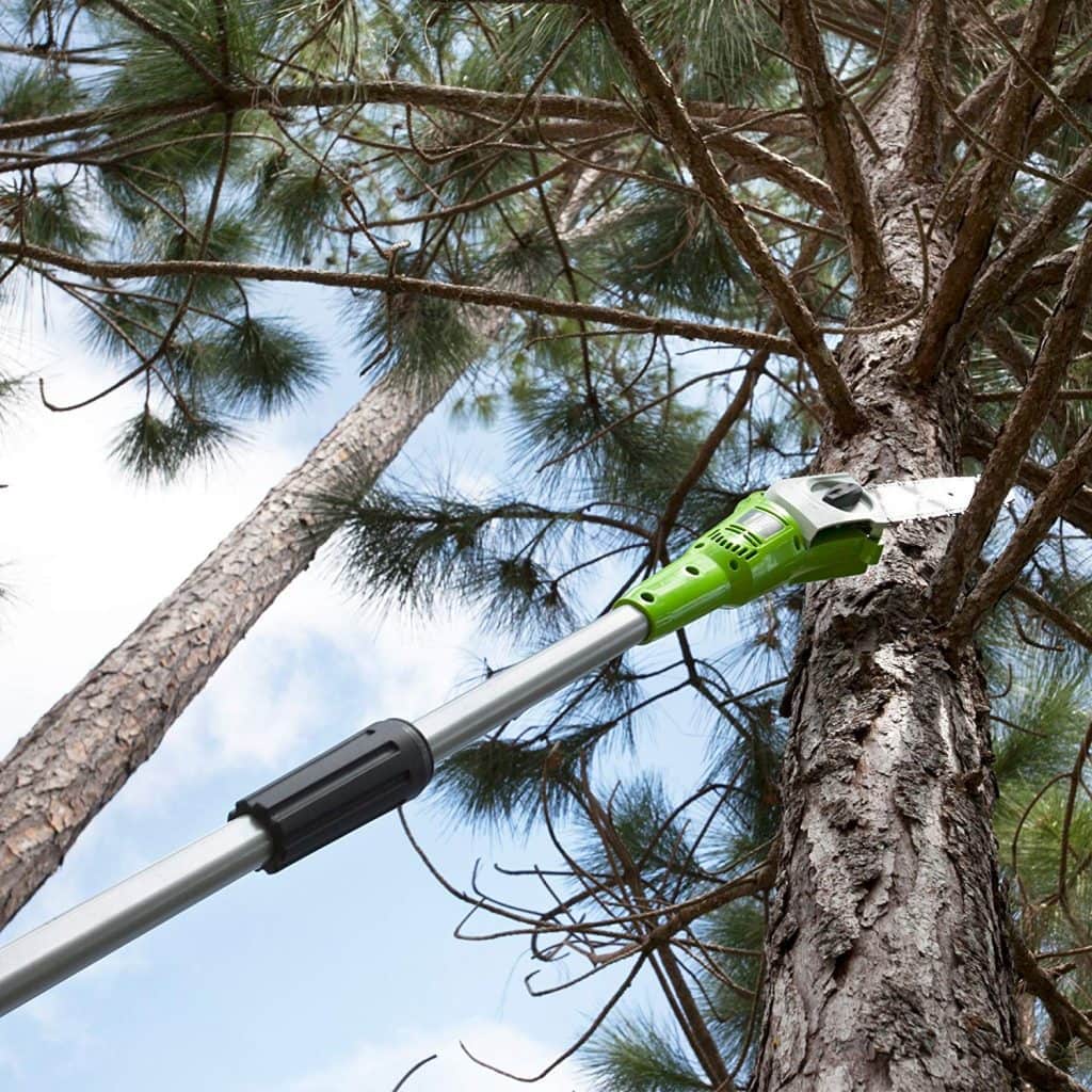 Top 10 Best Cordless Pole Saw Reviews (January 2022)