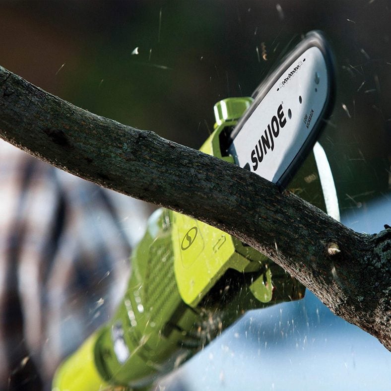 Top 10 Best Cordless Pole Saw Reviews (October 2024)