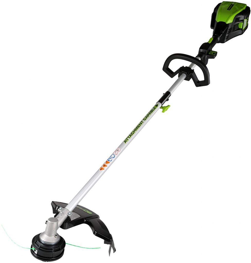 Greenworkds pro cordless - photo 1