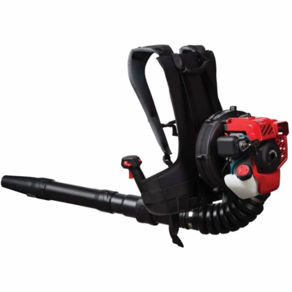Top 7 Best Backpack Leaf Blower to Buy in 2022 (Buyer’s Guide & Review)