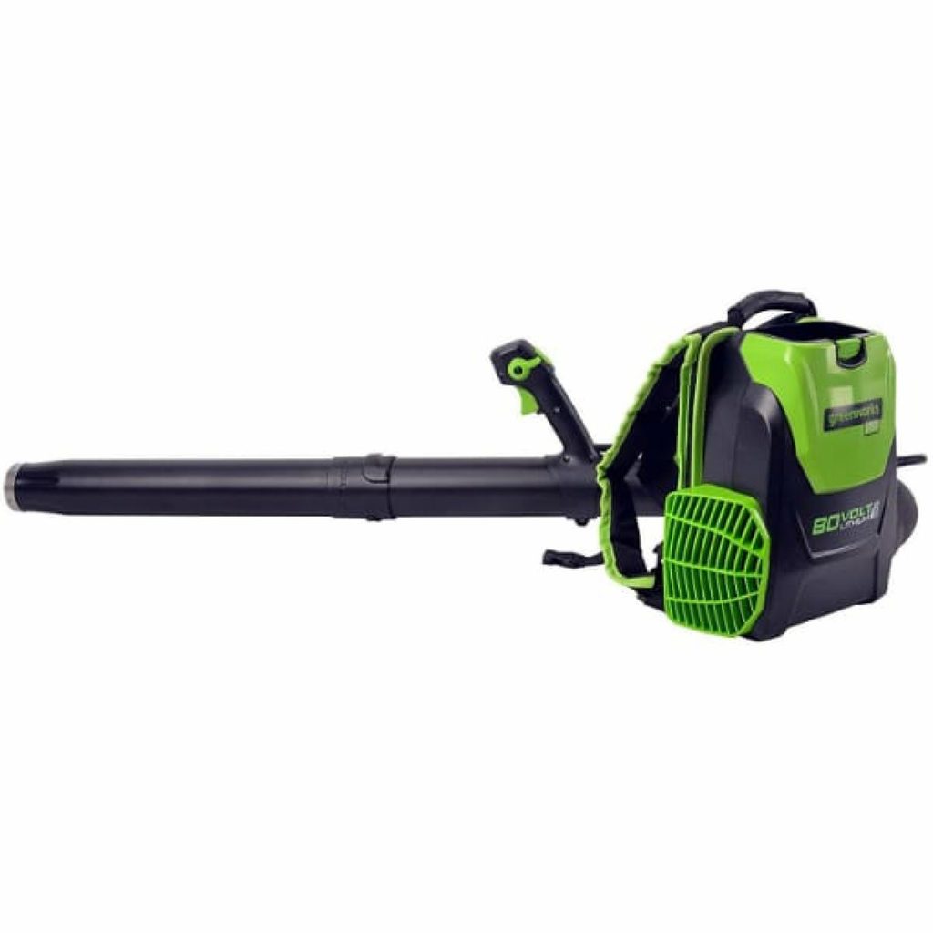 Top 7 Best Backpack Leaf Blower to Buy in 2021 (Buyer’s Guide & Review)