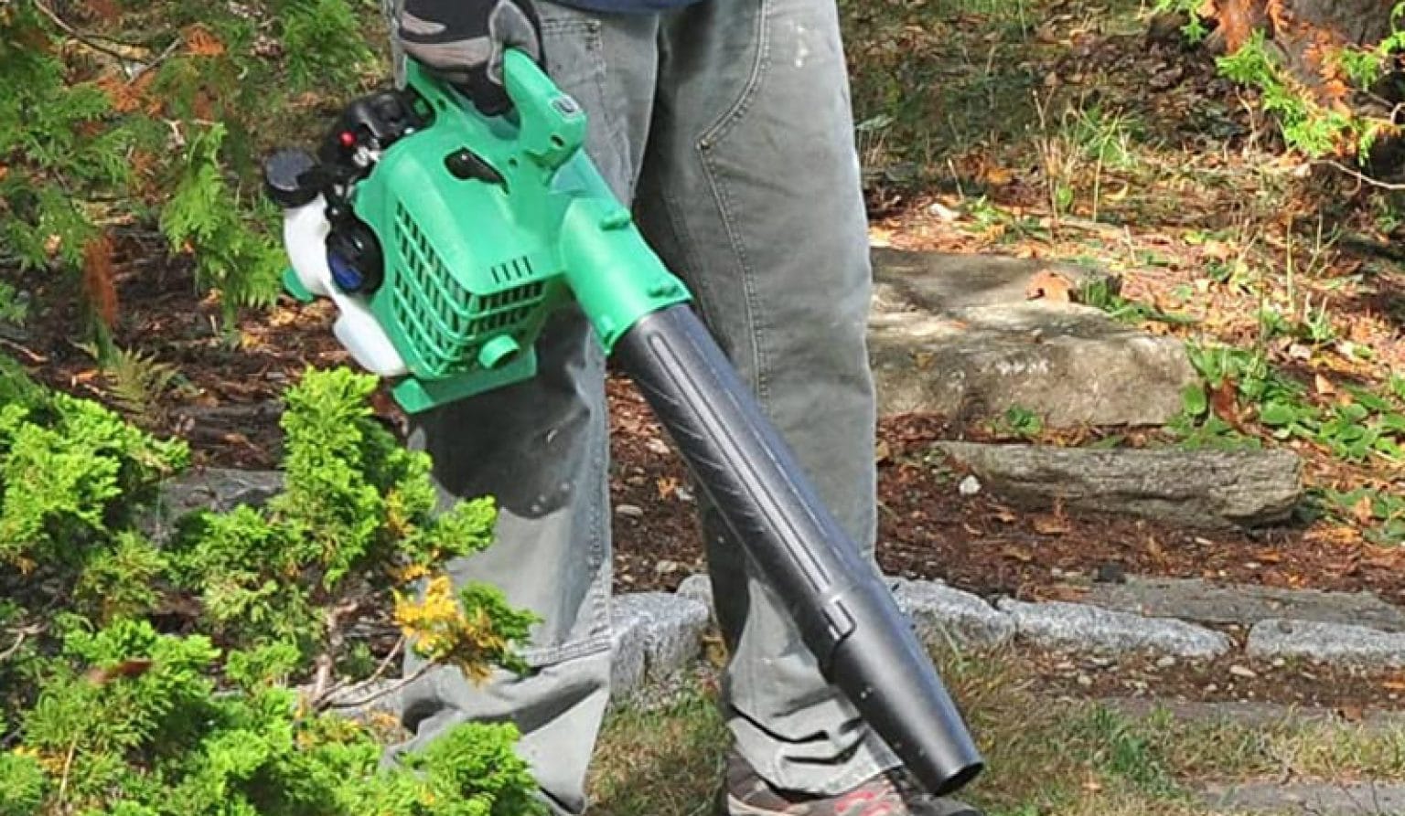 6 Best Gas Leaf Blower Ultimate Buyers Guide & Reviews (2024)