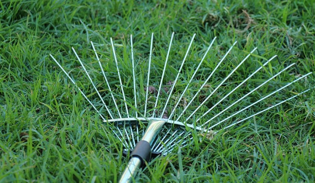 Metal Rake in the Grass