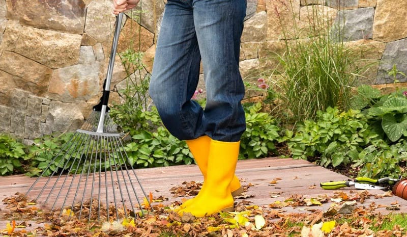 Woman with Metal Rake