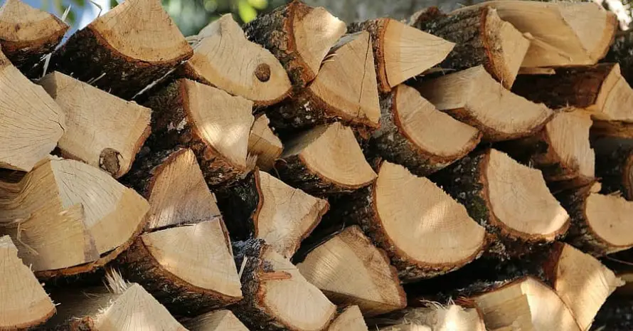 wood-logs-nature