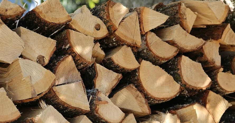 wood-logs-nature