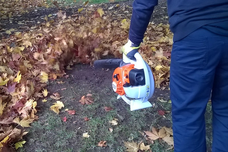 person blowing leaves