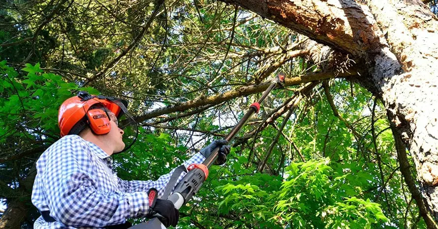 Top 10 Best Electric Pole Saw: Comprehensive Guide & Reviews