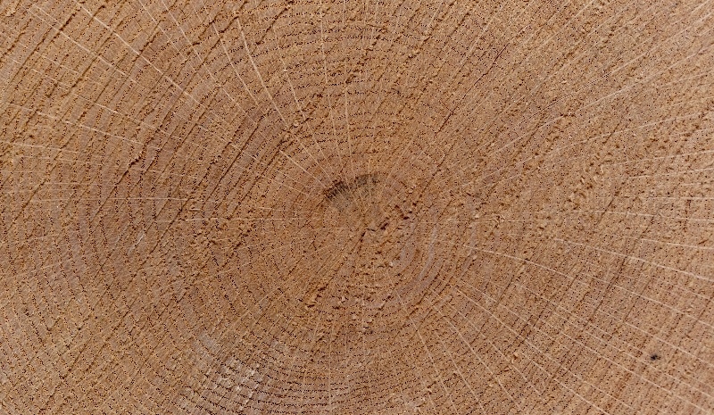 wood