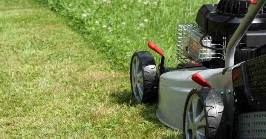 The lawn mower cuts the grass