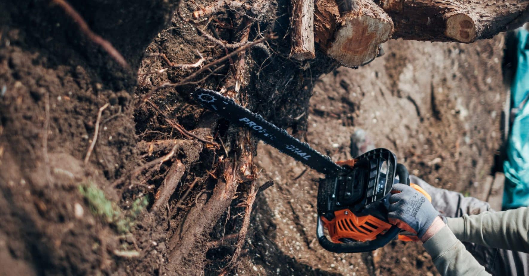 How Tight Should the Chain be on a Chainsaw? Chainsaw Guide 2024