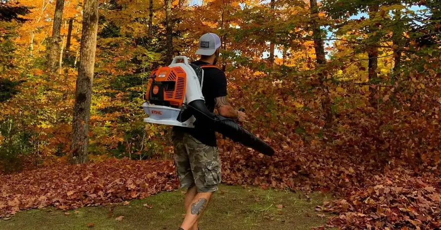 Man with Leaf Blower at the forest