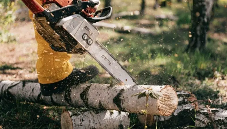 chainsaw cutting logs