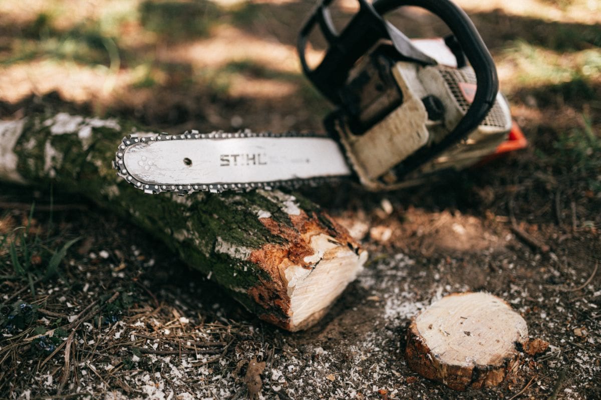 chainsaw on wood logs