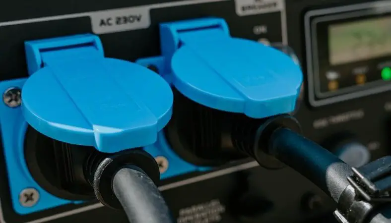 two cables are plugged into the blue sockets of the generator