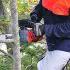 Best 16-inch Chainsaw Review