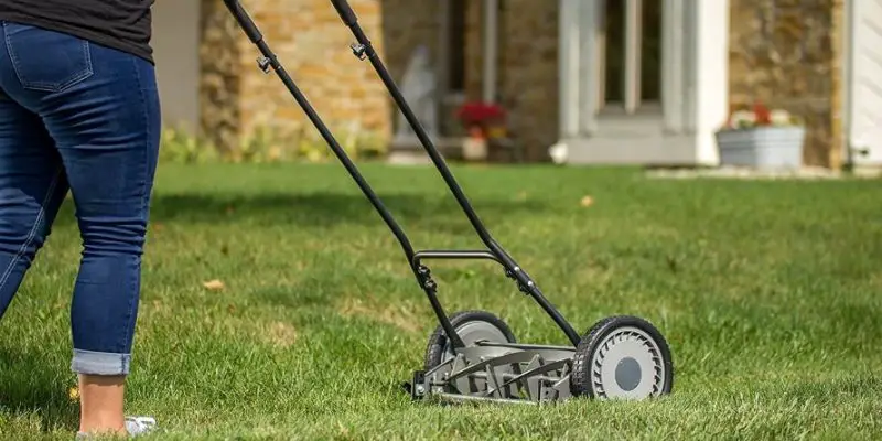 Best Reel Lawn Mower Models for a Picture-Perfect Lawn