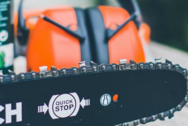 Best Cordless Pole Saw – Read the Reviews and Pick the Best One for You
