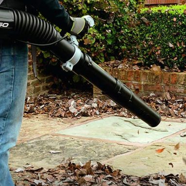 Best Backpack Leaf Blower: Comprehensive Review and Buyer’s Guide