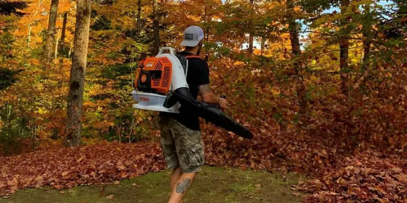 What Is a Leaf Blower and Why You Might Need One at Home