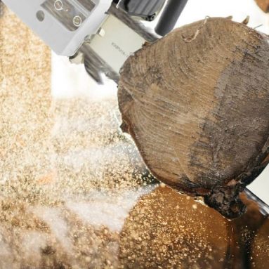 Best 18 inch Chainsaw: Top Tools & Buyer’s Guide