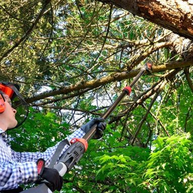 Best Electric Pole Saw: Top 10 Models & Detailed Guide