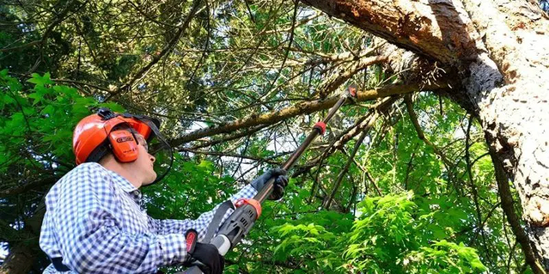 Best Electric Pole Saw – Top 10 Models & Detailed Guide