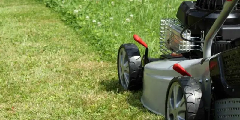 How Often Should You Cut Your Grass? – A Lawn Cutting Guide