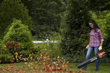 Best Leaf Blower Vacuum: Top 10 Items to Buy in 2020
