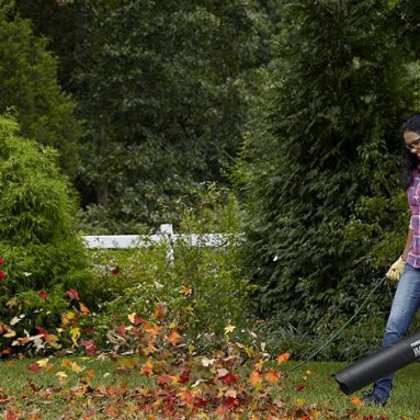 Best Leaf Blower Vacuum: Top 10 Items to Buy in 2021