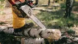 Best Professional Chainsaw – Choosing for Different Purposes