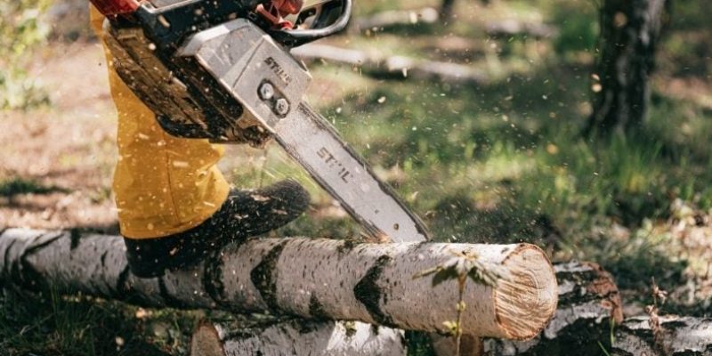 Best Professional Chainsaw – Choosing for Different Purposes