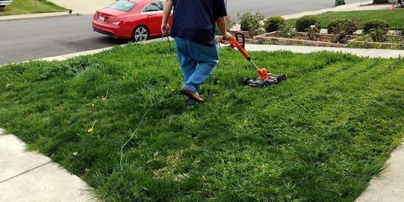 How to String a Weed Whacker? – Detailed Instructions