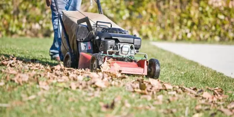 What is a Mulching Mower? – The Benefits of Using Mulching Mowers