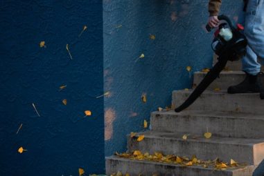How to Use a Leaf Blower to Maintain the Yard?