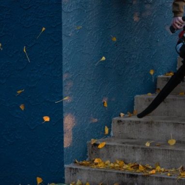 How to Use a Leaf Blower to Maintain the Yard?
