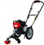 Southland Outdoor Power Equipment SWSTM4317